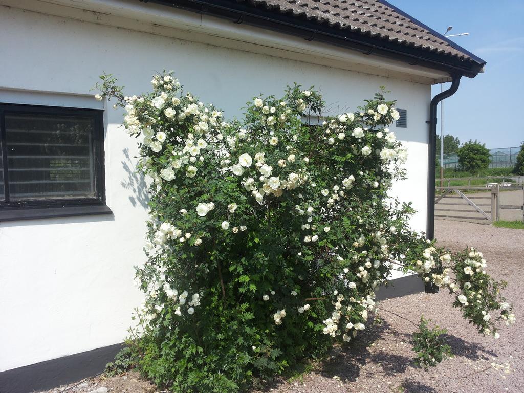 拉根丽丽花园乡村民宿 Vallåkra 外观 照片