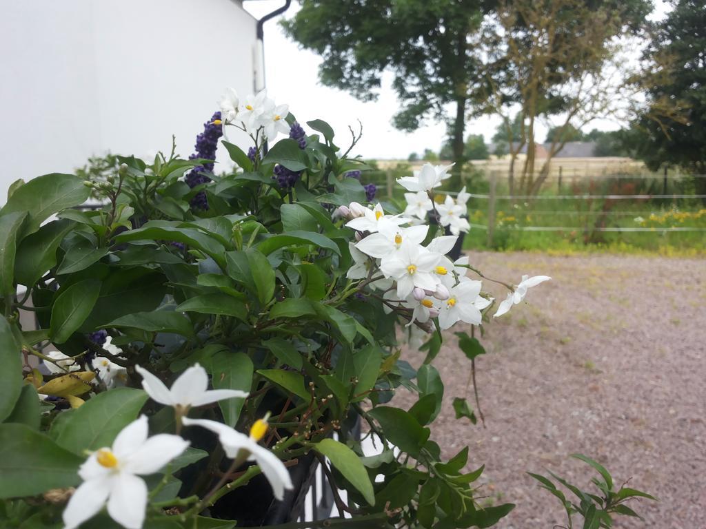 拉根丽丽花园乡村民宿 Vallåkra 外观 照片